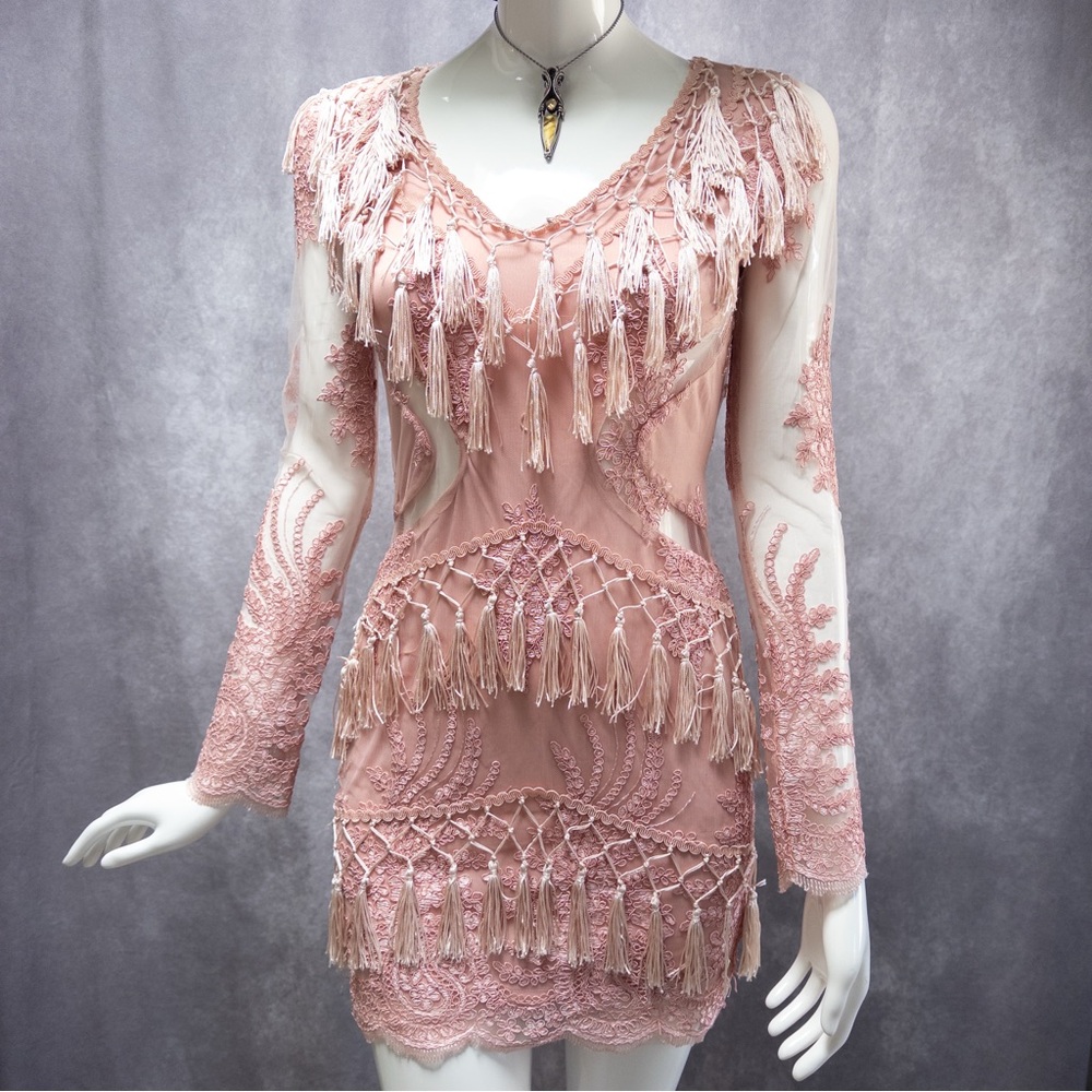 AKIRA Blush Pink Tassel, Lace an‎ Mesh Long Sleeve Dress